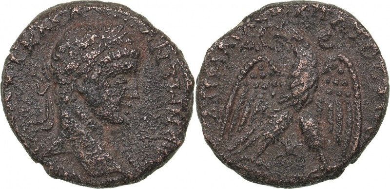 Roman Empire - Seleucis and Pieria Æ - Elagabalus (218-222 AD)
11.03 g. 24mm. G...