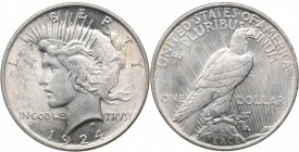 USA 1 dollar 1924
26.83 g. XF/XF Mint luster.
