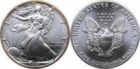 USA 1 dollar 1989
31.23 g. UNC/UNC