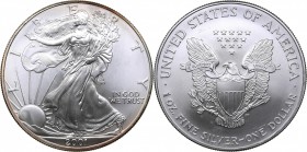 USA 1 dollar 2001
31.32 g. UNC/UNC