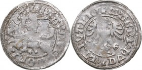 Lithuania 1/2 grosz ND - Alexander Jagiellon (1492-1506)
1.20 g. XF/XF
