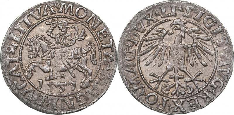 Lithuania 1/2 grosz 1557 - Sigismund II Augustus (1545-1572)
1.00 g. UNC/UNC Ra...