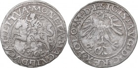 Lithuania 1/2 grosz 1564 - Sigismund II Augustus (1545-1572)
1.08 g. VF/VF- Ivanauskas# 4SA148-43.