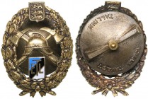 Estonia badge Estonian Fire Brigade Association
4.81 g. 27x20mm. Roman Tavast. Tallinn. ETL Before 1940.