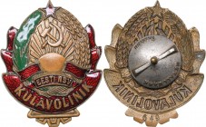 Russia - USSR badge ESSR Village Commissioner
16.52 g. 44x36mm. Rare!