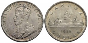 CANADA - Giorgio V (1910-1936) - Dollaro - 1936 - AG Kr. 31 - SPL-FDC