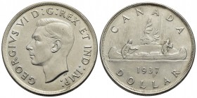 CANADA - Giorgio VI (1936-1952) - Dollaro - 1937 - AG Kr. 37 - SPL-FDC