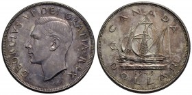 CANADA - Giorgio VI (1936-1952) - Dollaro - 1949 - AG Kr. 47 - SPL/SPL+