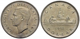 CANADA - Giorgio VI (1936-1952) - Dollaro - 1952 - AG Kr. 46 - SPL-FDC