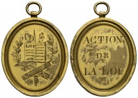 FRANCIA - Costituzione (1791-1795) - Medaglia - 1790 - Distintivo per gli ispettori di polizia - AE dorato R mm. 40 x 48 - SPL+