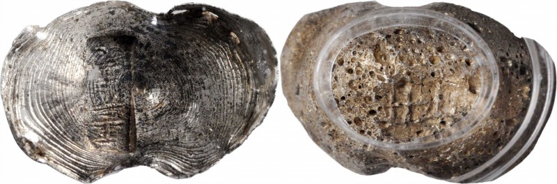 Sycee

(t) CHINA. Yunnan Yuansi Changyuankezi. Fine Silk Oval Ingots. Silver 2...