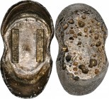 Sycee

CHINA. Zhongbao. Provincial Mid-Sized Ingot. Silver 10 Tael Ingot, ND. EXTREMELY FINE.

Weight: 362.65 gms. Added stamp right: "Min guo jia...