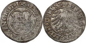 Sigismund I Old
POLSKA/ POLAND/ POLEN / POLOGNE / POLSKO

Zygmunt I Stary. Szelag (Shilling) 1531, Elblag / Elbing 

Moneta niedobita. Rocznik rz...
