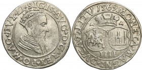 Sigismund II August
POLSKA/ POLAND/ POLEN / POLOGNE / POLSKO

Zygmunt II August. Czworak (4 grosze) 1569, Vilnius (Lithuania) - VERY NICE 

Aw.: ...