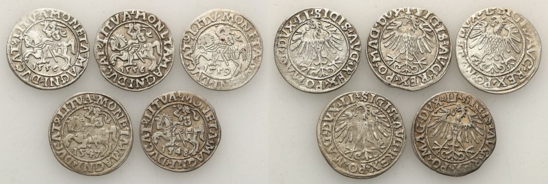 Sigismund II August
POLSKA/ POLAND/ POLEN / POLOGNE / POLSKO

Zygmunt II Augu...