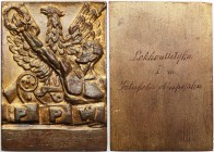 Polish medals & plaques 17th-20th century
POLSKA / POLAND / POLEN / POLOGNE / POLSKO

The Second Polish Republic. Sports plaque with 1st place in t...
