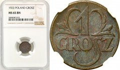 Poland II Republic
POLSKA / POLAND / POLEN / POLOGNE / POLSKO

II RP. 1 grosz 1923 NGC MS65 BN 

Piękny, menniczy egzemplarz. Kolorowa patyna. Pi...