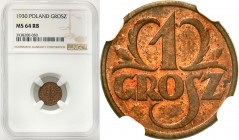 Poland II Republic
POLSKA / POLAND / POLEN / POLOGNE / POLSKO

II RP. 1 grosz 1930 NGC MS64 RB - RAREST DATE 

Najrzadszy rocznik obiegowej jedno...