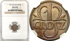 Poland II Republic
POLSKA / POLAND / POLEN / POLOGNE / POLSKO

II RP 1 grosz 1931 NGC MS64 BN 

Piękny egzemplarz, połysk menniczy. Brązowa patyn...