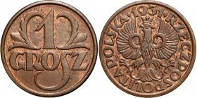 Poland II Republic
POLSKA / POLAND / POLEN / POLOGNE / POLSKO

II RP. 1 grosz 1931 

Patyna. Ciekawszy rocznik.Parchimowicz 101f

Details: 1,48...