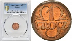 Poland II Republic
POLSKA / POLAND / POLEN / POLOGNE / POLSKO

II RP. 1 grosz 1938 PCGS MS66 RD (2 MAX) 

Druga najwyższa nota w PCGS.Moneta wyse...