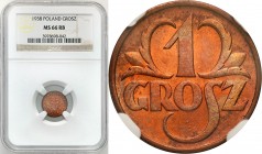 Poland II Republic
POLSKA / POLAND / POLEN / POLOGNE / POLSKO

II RP. 1 grosz 1938 NGC MS66 RB (2 MAX) 

Druga najwyższa nota gradingowa na świec...