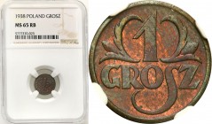 Poland II Republic
POLSKA / POLAND / POLEN / POLOGNE / POLSKO

II RP. 1 grosz 1938 NGC MS65 RB 

Piękny, menniczy egzemplarz.Wspaniały połysk men...