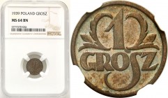 Poland II Republic
POLSKA / POLAND / POLEN / POLOGNE / POLSKO

II RP. 1 grosz 1939 NGC MS64 BN 

Piękna brązowo-błękitna patyna. Połysk.Parchimow...