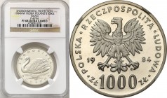 Probe coins Polish People Republic (PRL) and Poland
POLSKA / POLAND / POLEN / PATTERN / PROBE / PROBA

PRL. PROBE / SPECIMEN SILVER 1.000 zlotych 1...
