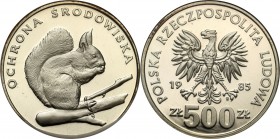 Coins Poland People Republic (PRL)
POLSKA / POLAND/ POLEN / POLOGNE / POLSKO

PRL. 500 zlotych 1985 Wiewiórka 

Rzadsza moneta kolekcjonerska.Men...