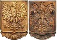 Decorations, Orders, Badges
POLSKA / POLAND / POLEN / POLSKO / RUSSIA / LVIV

Patriotic Eagle London 1942-1948 

Stan przedmiotu zbliżony do idea...