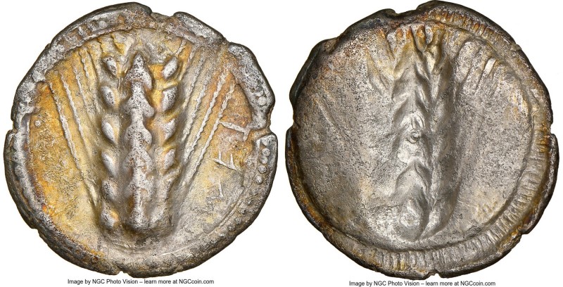 LUCANIA. Metapontum. Ca. 510-470 BC. AR stater (25mm, 7.12 gm, 12h). NGC (photo-...