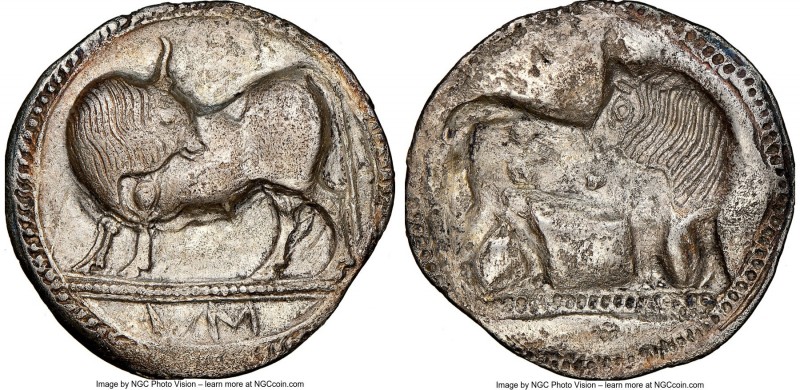 LUCANIA. Sybaris. Ca. 550-510 BC. AR stater (29mm, 7.17 gm, 1h). NGC (photo-cert...