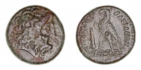 Monedas Antiguas
Reino Ptolemaico de Egipto
Ptolomeo III Evergetes
AE-23. Tiro. (246-222 a.C.). A/Cabeza de Zeus a der. R/Águila a izq. sobre rayo,...