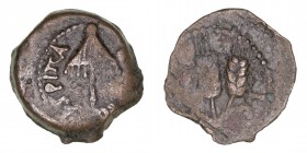 Monedas Antiguas
Judea
Agripa I
Prutah. AE. (37-44). Dinastía de Herodes. A/Sombrilla y ley. R/Tres espigas, L-S (año 6). 3.19g. Hendin 553. MBC-....