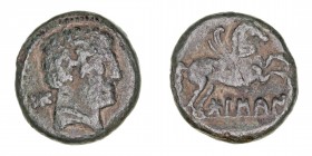 Monedas de la Hispania Antigua
Bolscan, Huesca
Semis. AE. (Entre 180-20 a.C.). A/Cabeza barbada a der., detrás letra ibérica Bo. R/Pegaso a der., de...