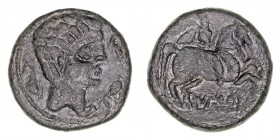 Monedas de la Hispania Antigua
Iltirta, Lérida
As. AE. A/Cabeza masculina a der., rodeada de tres delfines. R/Jinete con palma, debajo ley. ILTiRTa....