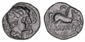 Monedas de la Hispania Antigua
Iltirta, Lérida
Semis. AE. A/Cabeza masculina a der., rodeada de tres delfines. R/Caballo a der., encima creciente y ...