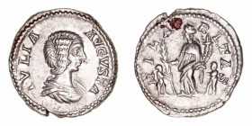 Imperio Romano
Julia Domna, esposa de S. Severo
Denario. AR. R/HILARITAS. 3.14g. RIC.557. Oxidación en reverso. (MBC+).