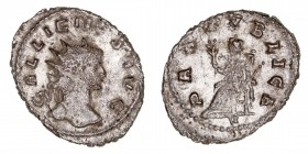 Imperio Romano
Galieno
Antoniniano. VE. Siscia. (253-268). R/PAX PVBLICA. 3.05g. RIC.260. (MBC).