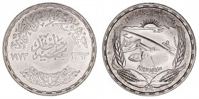 Monedas Extranjeras
Egipto
Pound. AR. 1973. FAO Presa de Asuán. 25.10g. KM.439. Brillo original. EBC+.