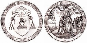 Medallas
Medalla. AR. XV Centenario de la Conversión de San Agustín 1887. Grabador E. Noney. 64.74g. 53.00mm. Golpecitos en canto. Escasa. (EBC-).