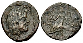 Brundisium AE Semis, 2nd century BC 

Calabria, Brundisium. AE Semis (20-21 mm, 5.69 g), 2nd century BC.
Obv. Laureate head of Poseidon to right, [...