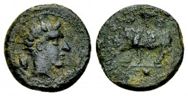 Gela AE Onkia, c. 420-405 BC 

Sicily, Gela. AE Onkia (11 mm, 1.13 g), c. 420-405 BC.
Obv. Head of the river-god Gelas to right, hair flowing; grai...