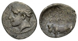 Panormos AR Litra, c. 405-380 BC 

Sicily, Panormos. AR Litra (10-11 mm, 0.69 g), after 405-380 BC.
 Obv. Male head to left.
 Rev. Man headed bull...
