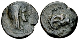 Melita AE 17, c. 218-175 BC 

Islands off Sicily, Melita. AE17 (3.38 g), c. 218-175 BC.
Obv. Veiled and diademed female head to right.
Rev. Head o...