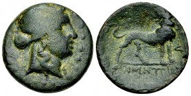 Miletos AE 20, c. 250-190 BC 

Ionia, Miletos. AE20 (4.66 g), c. 250-190 BC. Demetrios, magistrate.
Obv. Laureate head of Apollo to right.
Rev. [Δ...