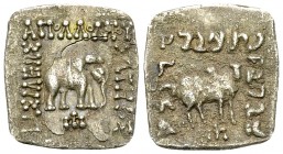 Apollodotos I AR Drachm 

Kings of Bactria. Apollodotos I (c. 174-165 BC). AR Drachm (16-17 mm, 2.45 g).
Obv. BAΣIΛEΩΣ AΠOΛΛOΔOTOΥ ΣΩTHΡOΣ, elephan...