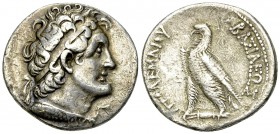Ptolemy V or VI AR Tetradrachm, Alexandria 

Ptolemy V or VI (204-180 BC or 180-145 BC). AR Tetradrachm (26-27 mm, 12.01 g), Alexandria mint.
Obv. ...