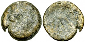 Cleopatra VII Thea AE 80 Drachmai 

Ptolemaic Kings. Cleopatra VII Thea (51-30 BC). AE 80 Drachmai (26 mm, 16.38 g), Alexandria.
 Obv. Diademed and...
